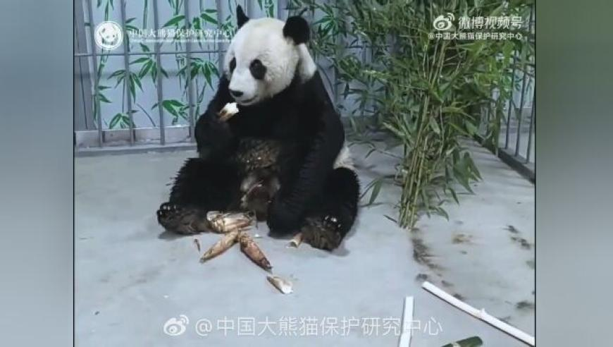 女警长覃丹突发疾病离世,2025年香港本港最快开奖结果,前瞻性战略落实探讨_创意版V1.70
