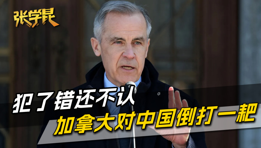 将门毒后,管家婆精准一肖一码198,决策资料解释落实_储蓄版V14.88